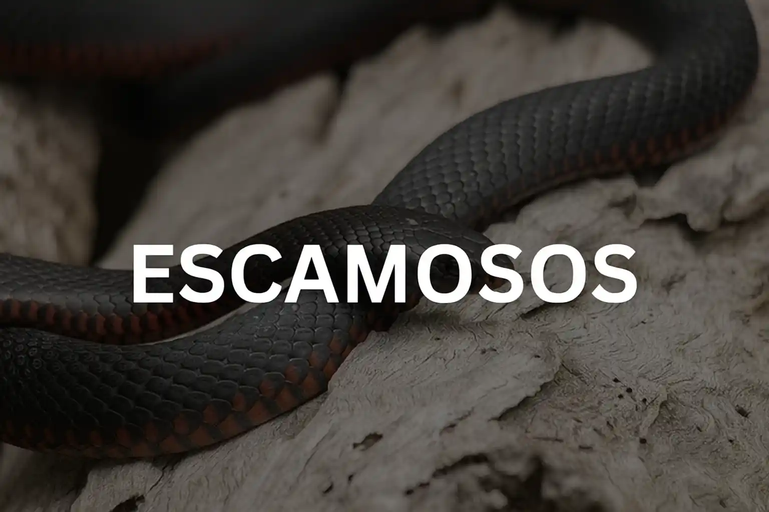 Escamosos