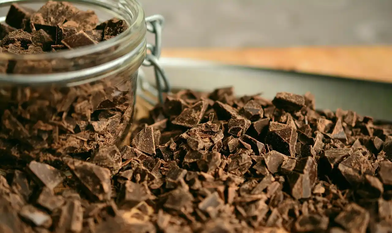 Tableta de chocolate, alimento tóxico para los perros