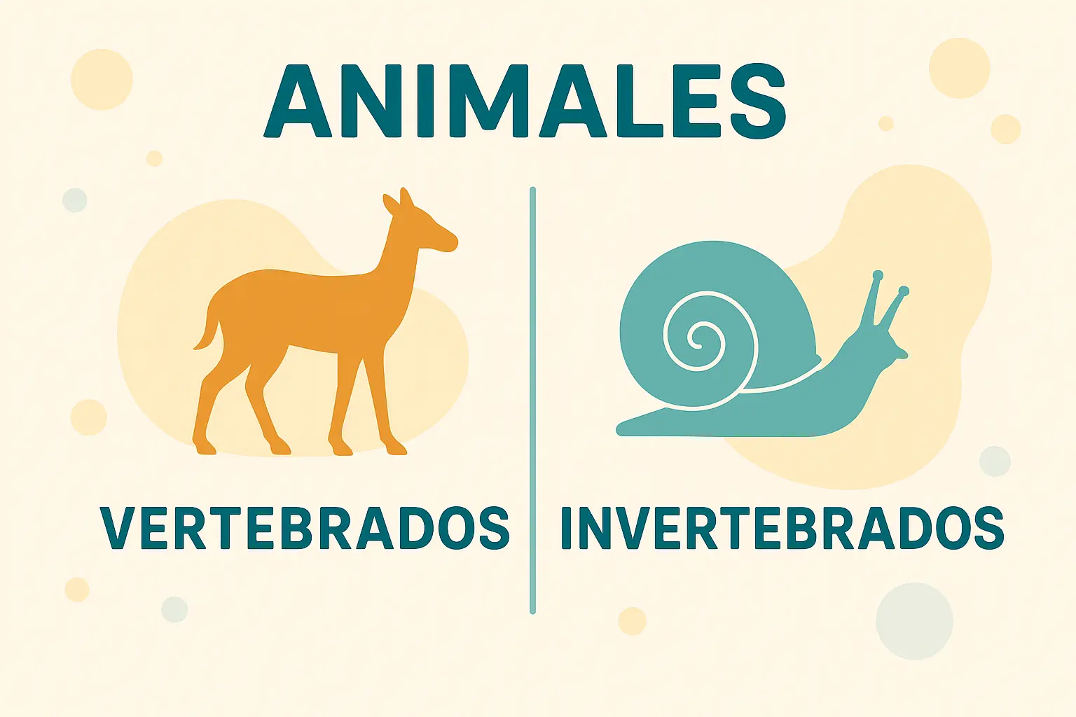 imagen-animales-vertebrados-y-invertebrados Animales vertebrados e invertebrados representados en un esquema comparativo, con iconos minimalistas de esqueleto para vertebrados y cuerpo segmentado para invertebrados.